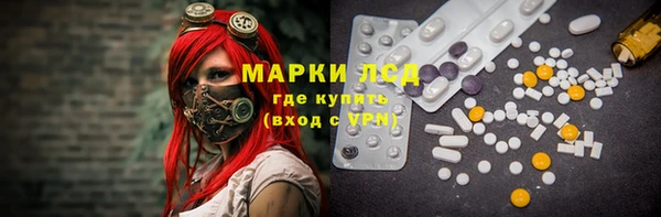 ГАЛЛЮЦИНОГЕННЫЕ ГРИБЫ Аркадак