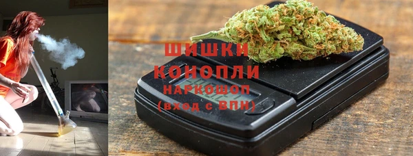 ГАЛЛЮЦИНОГЕННЫЕ ГРИБЫ Аркадак