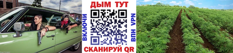 OMG ссылки  даркнет как зайти  Бошки Шишки AK-47  Удомля 